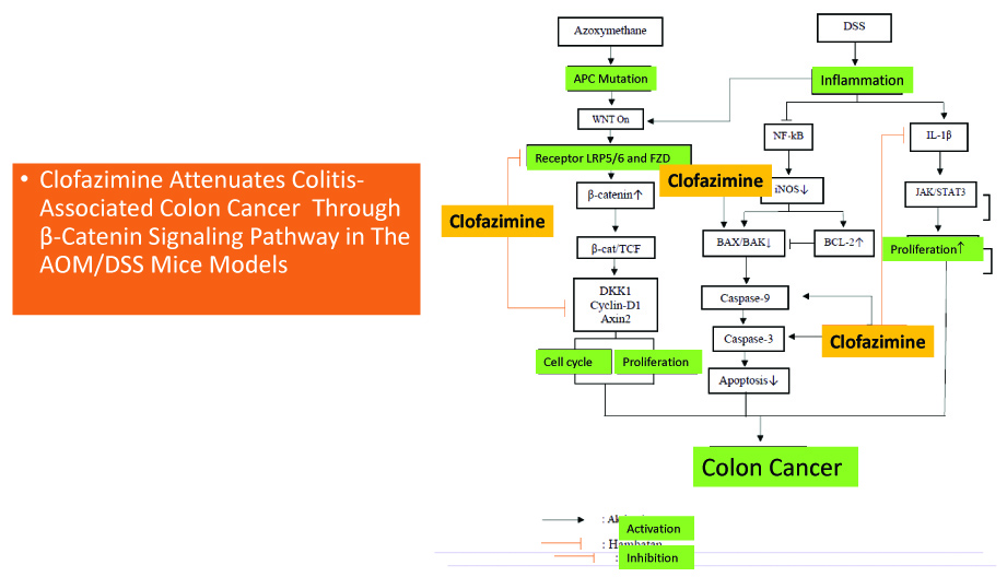 Graphical Abstract